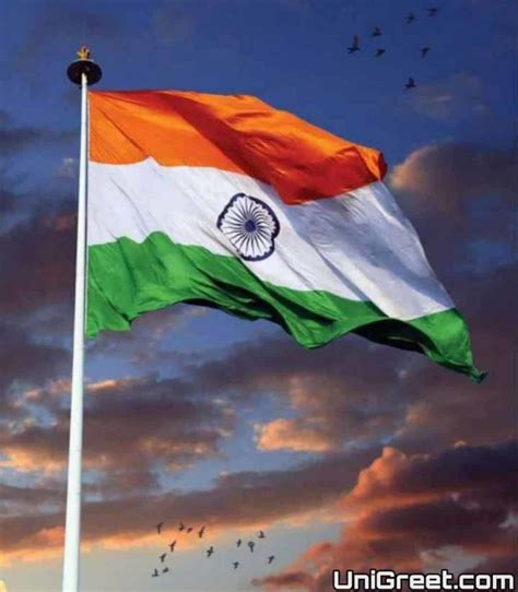 indian flag image dp